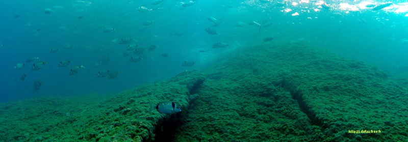 panoramique plongée sous marine cala montjoi